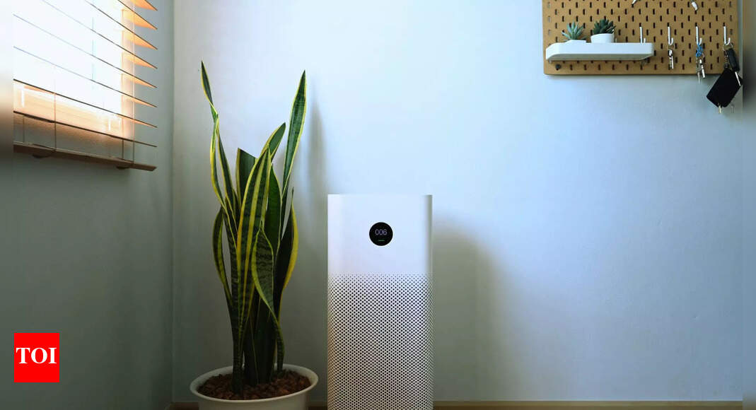 Best Indoor Air Purifying Plants For A Healthier Home Times of India