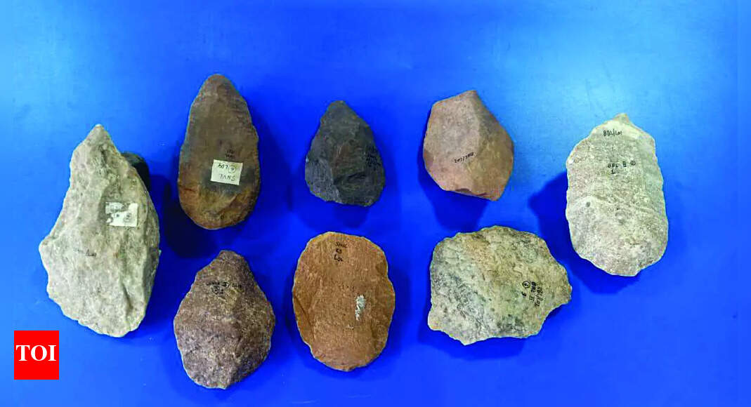 Stoneage tools from Dudhsagar shed light on prehistoric Goa | Goa News ...