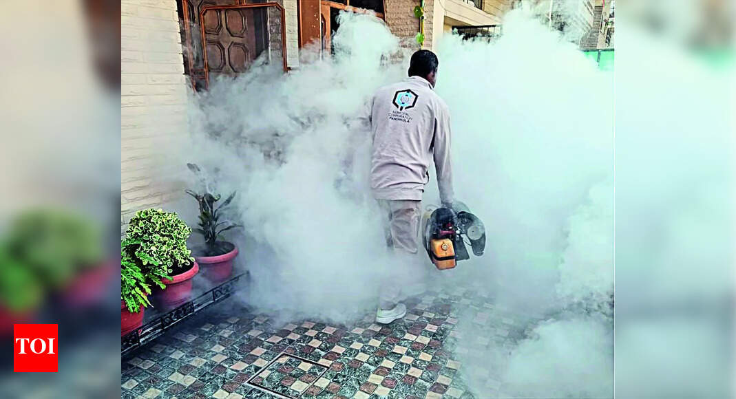 Dengue Dengue Cases Surge in Urban Panchkula 50 Spike in Reports