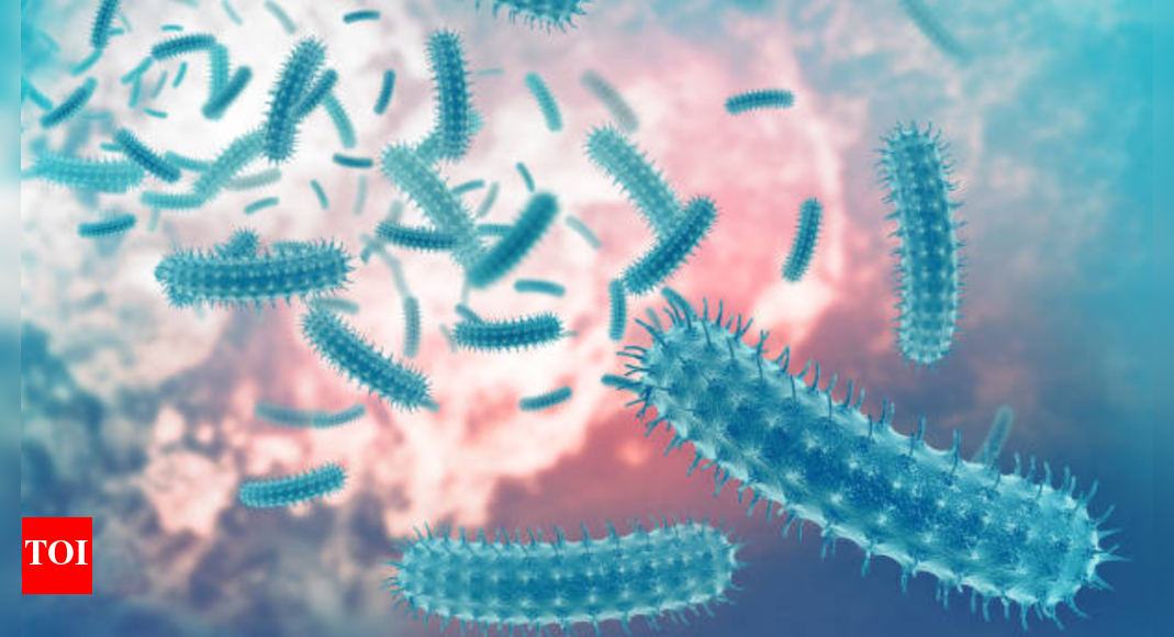 Parkinson's Disease Can the common E.coli bacteria found in the gut