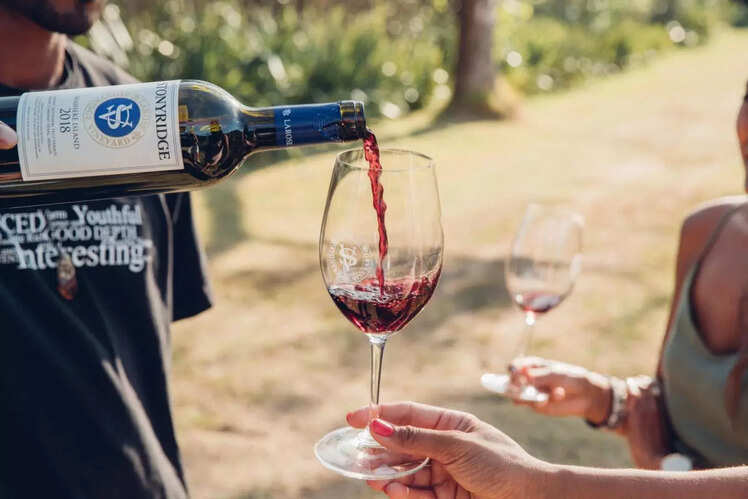 Wine Tasting in the Marlborough Region