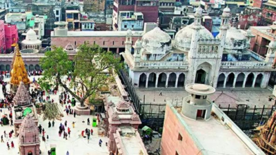 Varanasi court rejects plea for excavation survey at Gyanvapi