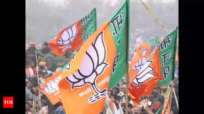 Sena should pull out Mahim pick in favour of MNS chief's son: BJP