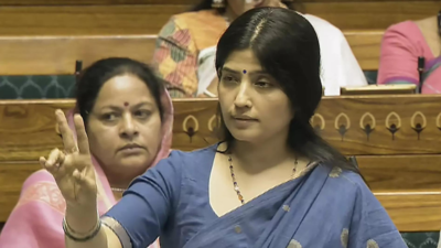 'Samajwadi Party is ready, will contest on people's issues': Dimple Yadav on UP by-polls