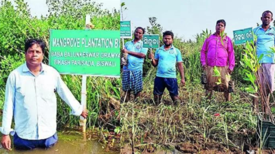 Odisha man’s 14-year efforts pay off as mangroves absorb force of cyclones