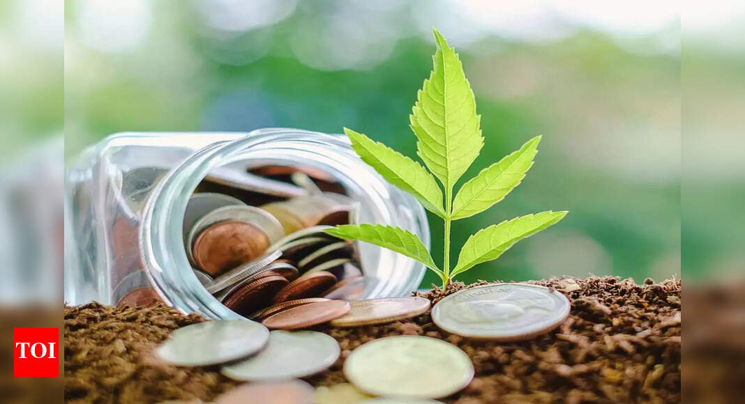Nirmala Sitharaman seeks enhanced support from international financial institutions to achieve SDGs