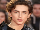 Timothée Chalamet spontaneously appears in NYC lookalike contest that police sudden closes