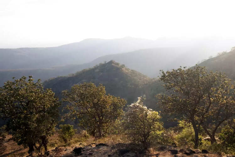 ​Chikhaldara