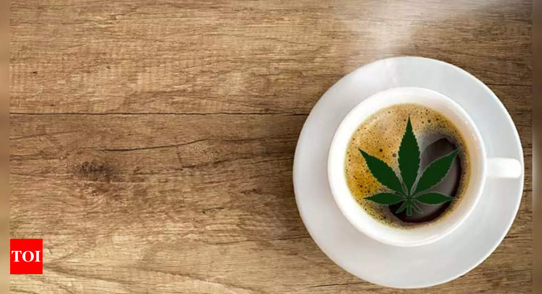 New York bans the sale of caffeine-infused cannabis; what are they? – Times of India