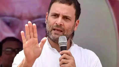 Rahul Gandhi steps up attack on Buch for 'conserving Adani'