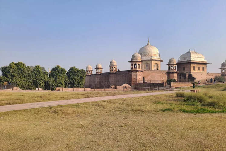 The Legal Flashpoint and Its Ripple Effect on Haryana’s Entertainment Economy