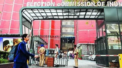 ‘Frivolous doubts’: EC hits out at Congress on Haryana EVMs