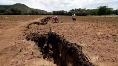 África pode dividir-se em duas, formando um sexto oceano, revela estudo