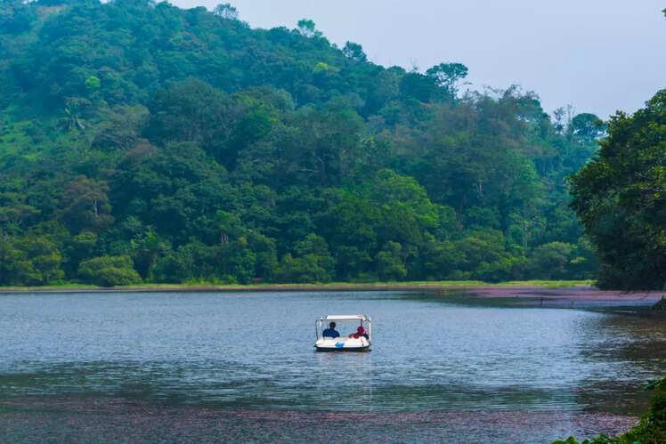 ​Wayanad
