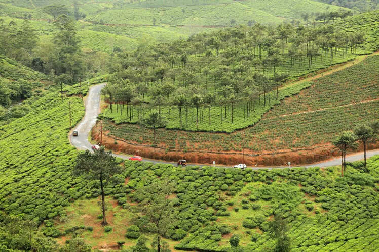 Vagamon