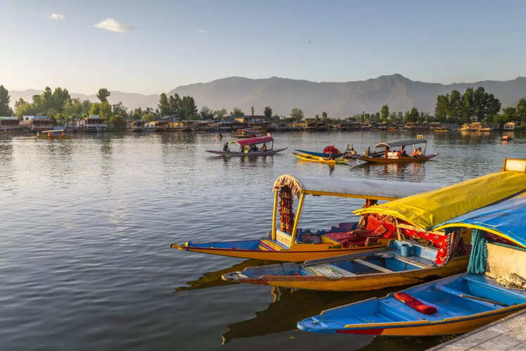 ​Shikara ride on Dal Lake