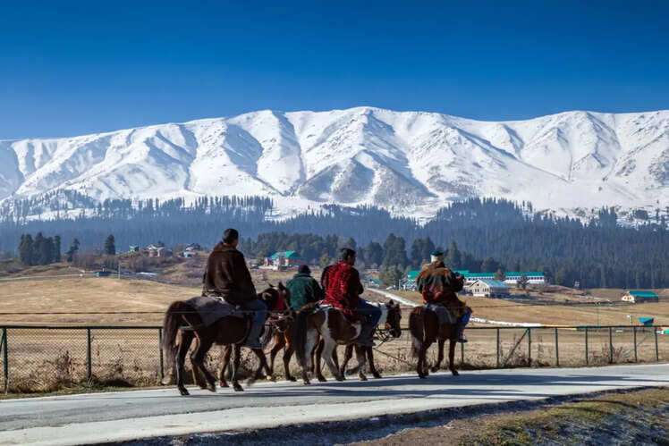 Horse riding in Srinagar