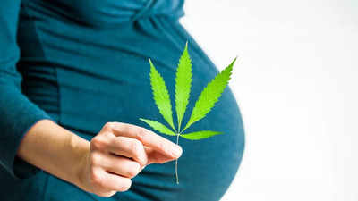 Is prenatal cannabis use linked to cognitive issues in children? Know more