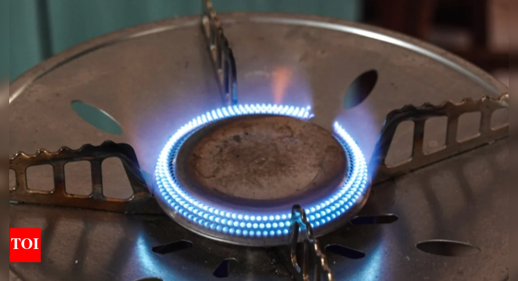 Single Burner Gas Stove TopRated Single Burner Gas Stoves for Small