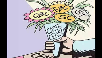 56 questions to form part of caste survey