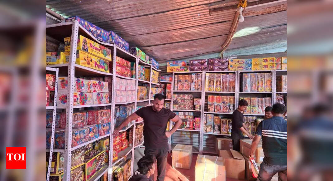 Green Firecrackers: Diwali 2023: High Demand for Eco-Friendly ...