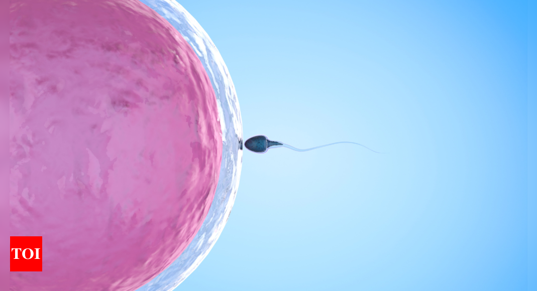 The impact of lifestyle on fertility