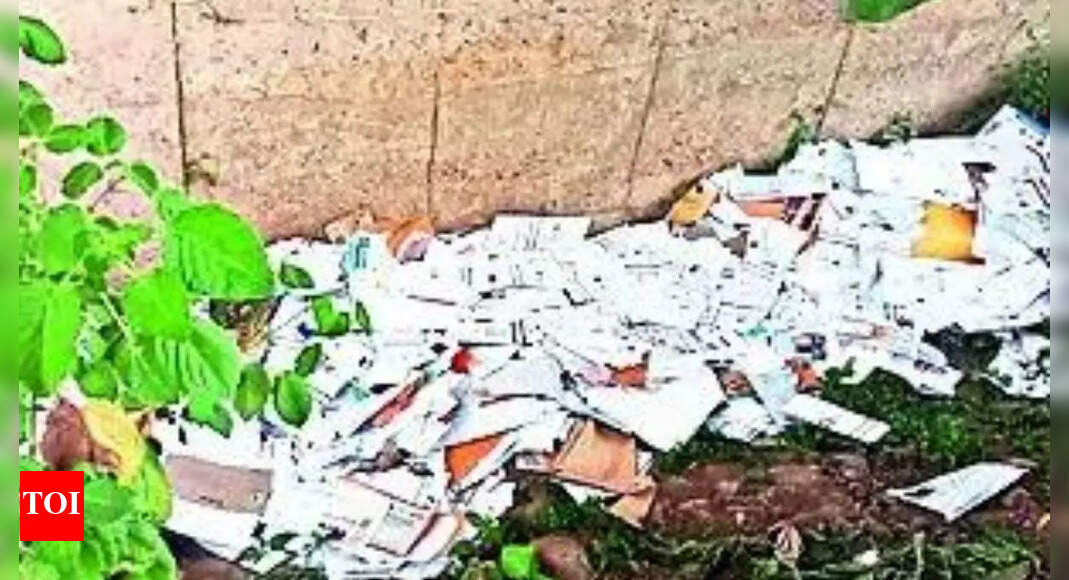 timesofindia.indiatimes.com