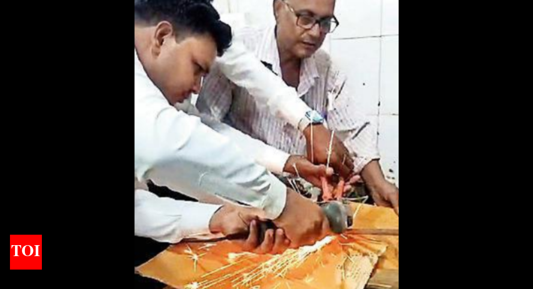 Engineer and doctors team up to save man impaled by steel rods in MP's ...