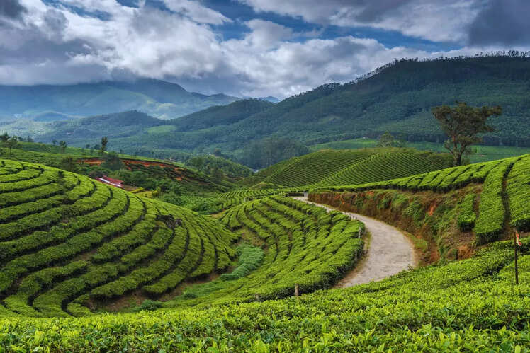 Thiruvananthapuram to Munnar