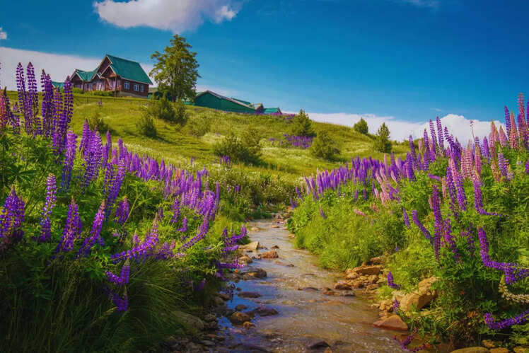 Srinagar to Gulmarg