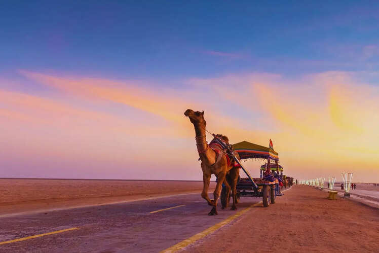 Ahmedabad to Kutch