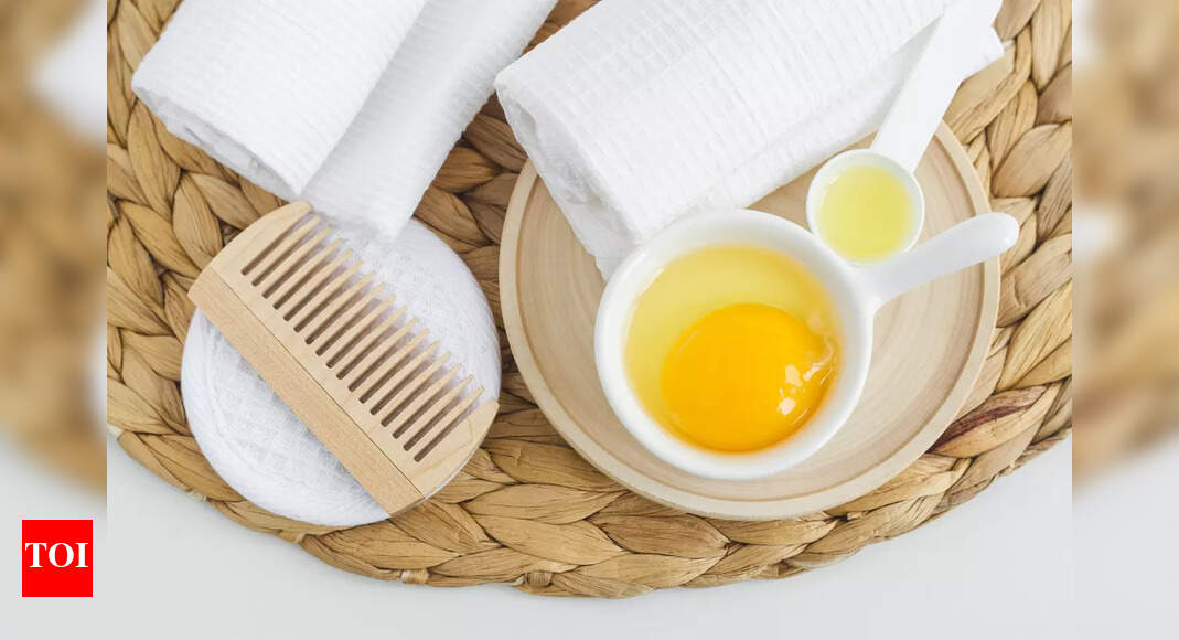 Egg vs Coconut Oil Which is best for hair growth? Times of India