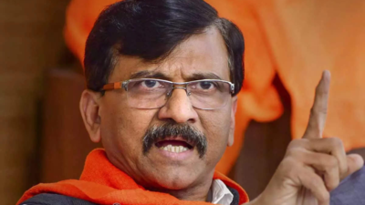 'No insult intended': Sanjay Raut defends Arvind Sawant's 'sexist' remarks on Shaina NC