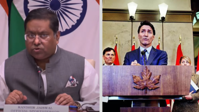 'Another unsubstantiated attack': MEA slams Canada for labeling India a 'cyber adversary'