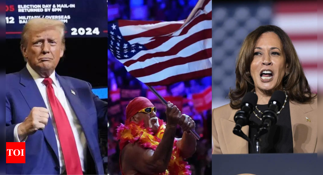 US Election 2024: Election date, time, coverage and streaming options; knows everything about it