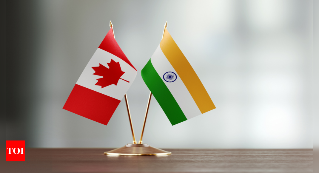 What is Canada’s National Cyber Threat Assessment that blames India of ‘likely spying’ – Times of India