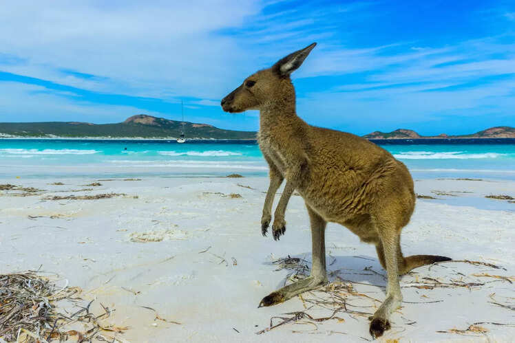 Cape Le Grand Beach - Esperance, Australia