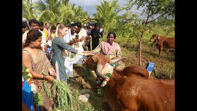 Tamil Nadu: Influencers Showcase Tamil Nadu's Cultural Riches on