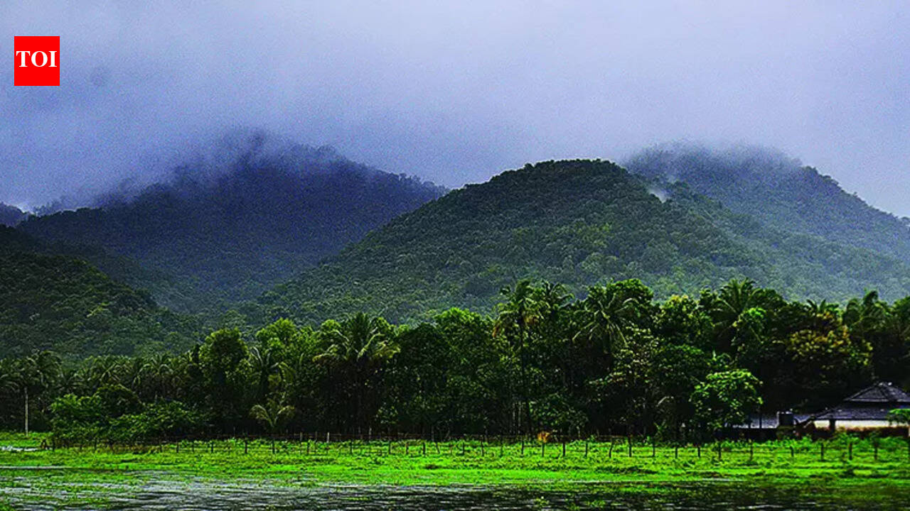 ESA list: Centre to inspect Goa’s ghats | Goa News - The Times of India