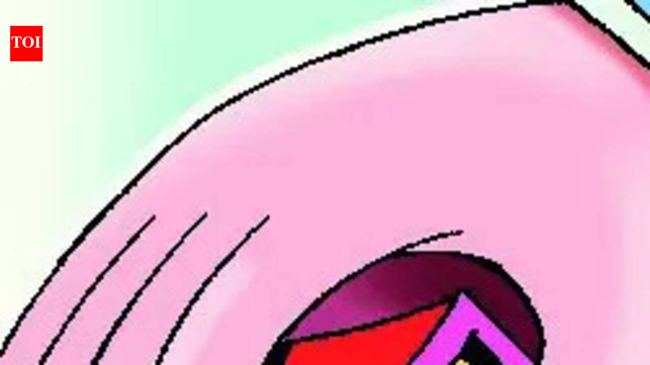 Xeldem locals slam illegal development | Goa News - The Times of India