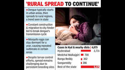 Spurt in dengue cases in rural dists as share of Hyd now drops to 44%