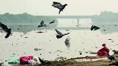 ‘You’ve made Yamuna hell’: SC tells Agra civic body to pay Rs 58.4 crore