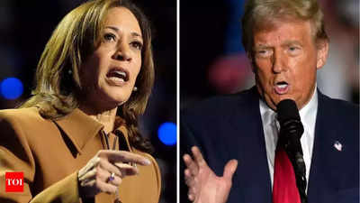 US election 2024: Your questions answered on 2024 Trump vs. Harris election; when is the voting day, how voting counting conducted and other