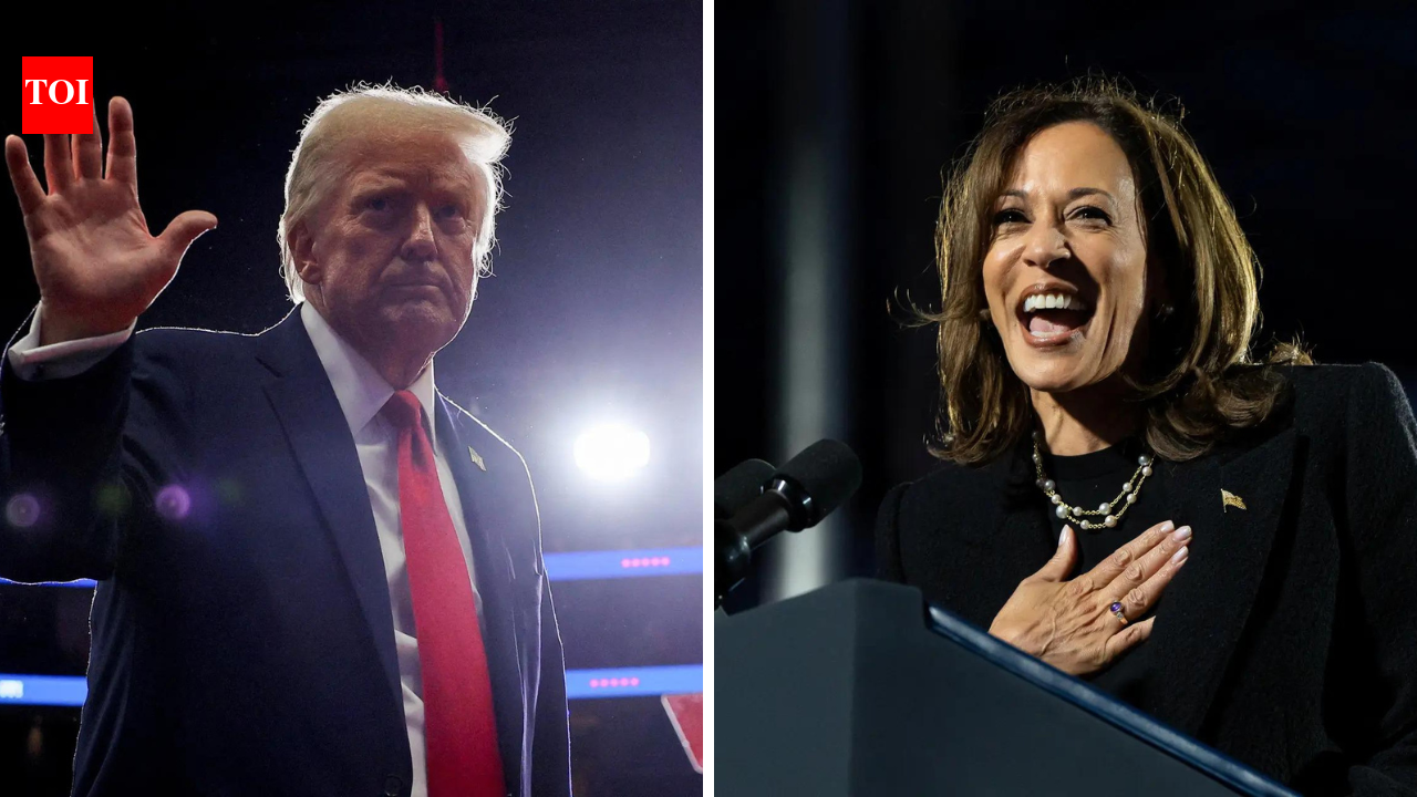 US elections: Kamala Harris, Donald Trump make final pitch to voters as ...