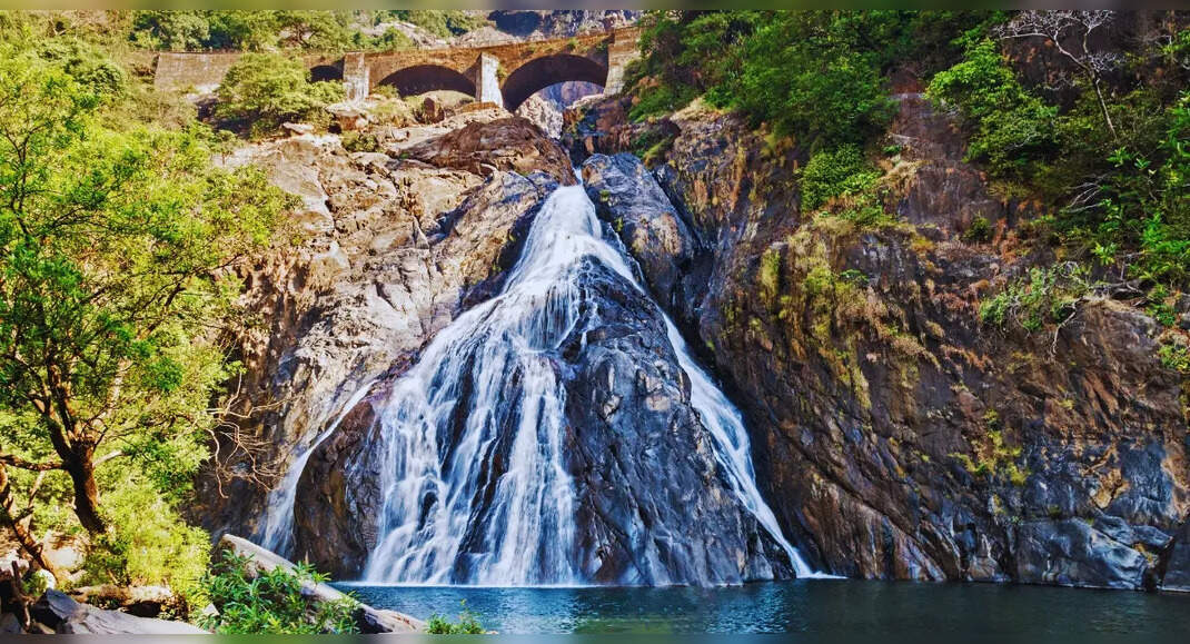 Dudhsagar Waterfall tours finally resume – 5 reasons to include this on ...