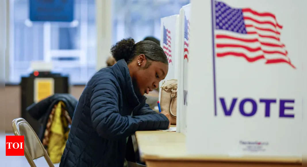 US elections 2024: Why seven “purple states” are the key to the White House