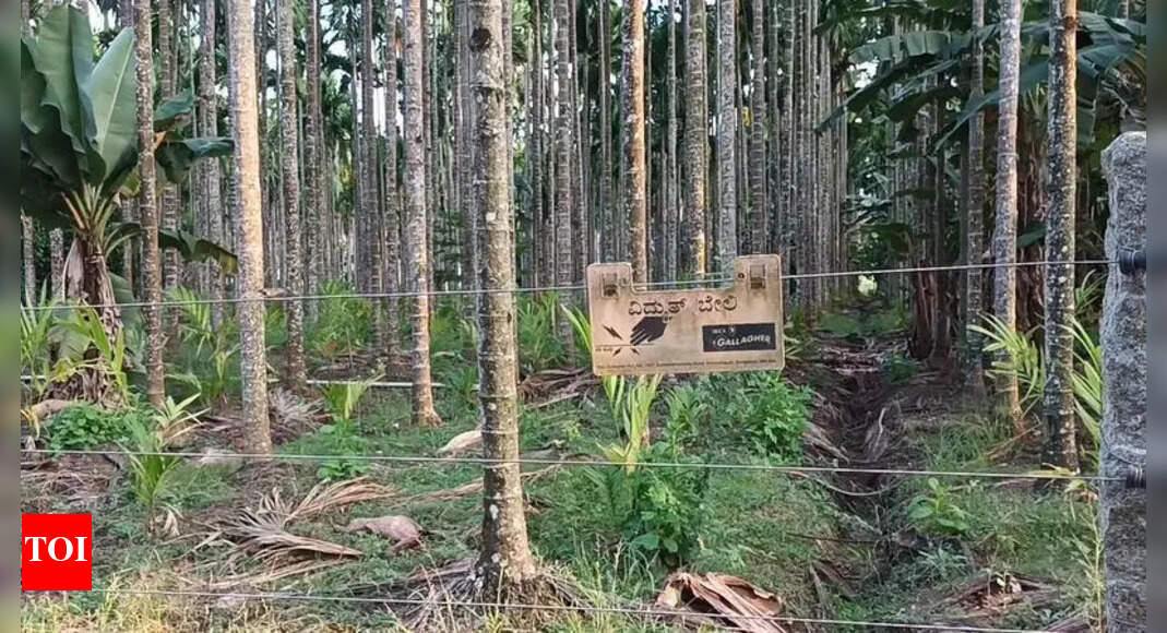 Farmers Face Consequences of Illegal Electric Fencing Amidst Ongoing