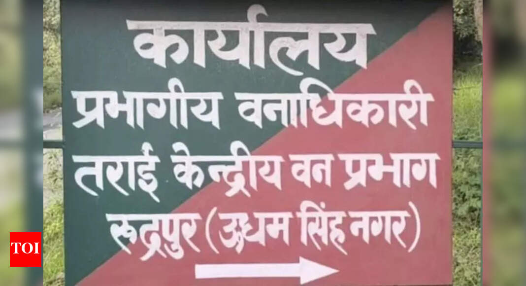 Final Eviction Notice Issued to Encroachers in Lalkuan's Forest Land ...