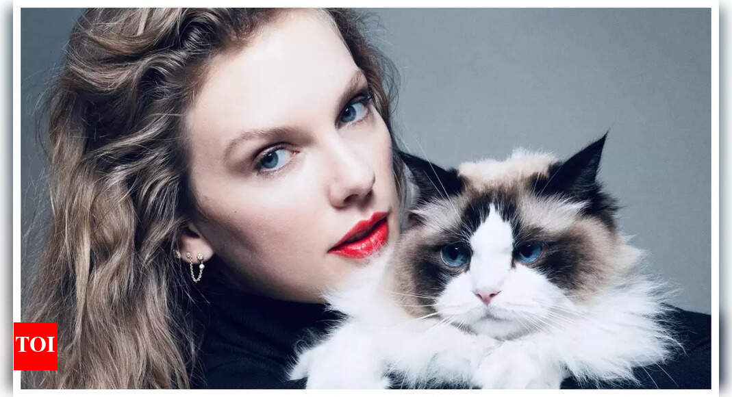 timesofindia.indiatimes.com thumbnail