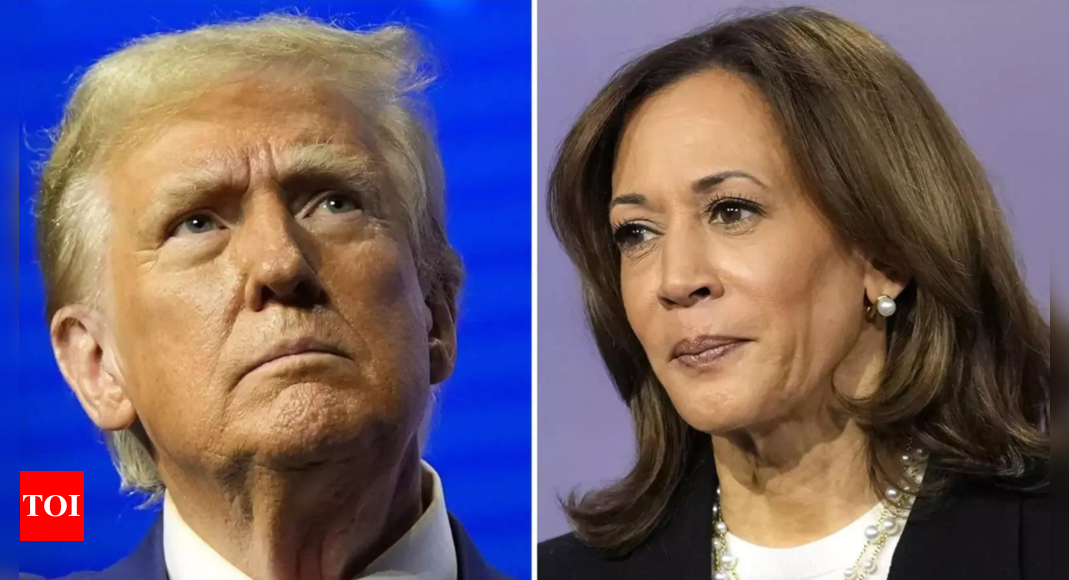 2024 US elections Exit polls in swing states reveal Kamala Harris has